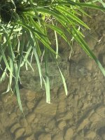 IMG_9218.JPEG