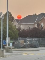 amazing photos of the a red beautiful sun in Toronto on Aug 12 - 2026 (3).JPEG